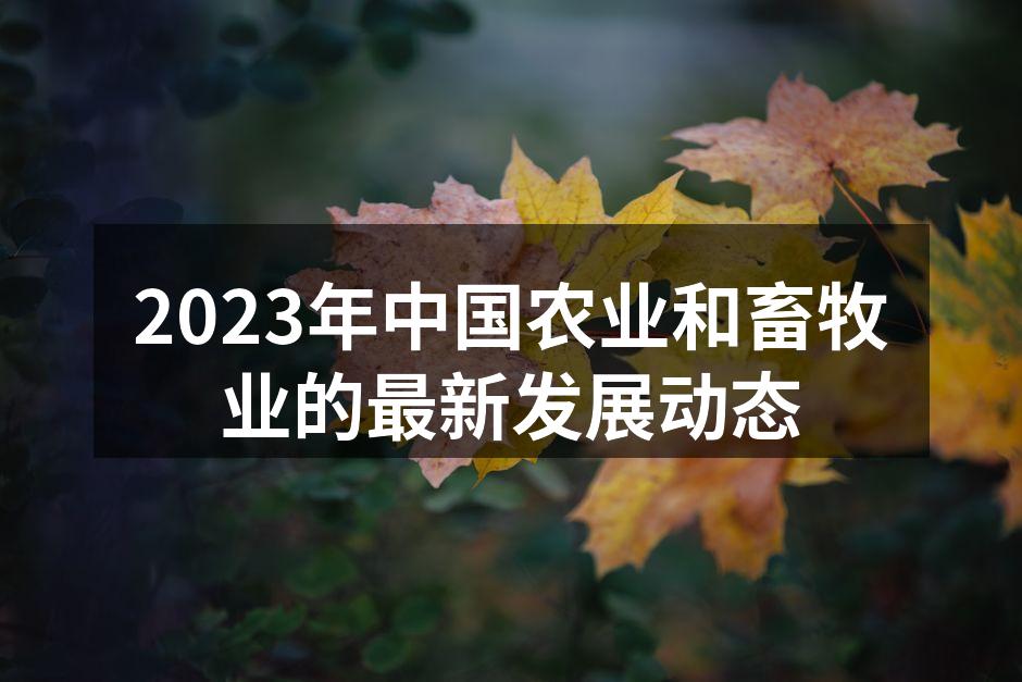 2023年中国农业和畜牧业的最新发展动态